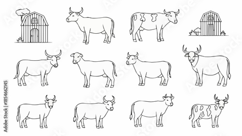 Collection of Hand Drawn Cow Illustrations and Barns.