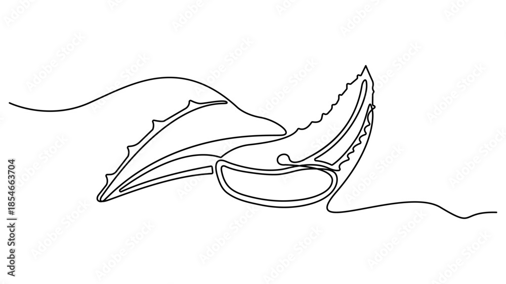 Obraz premium Aloe vera plant sketch, simple vector illustration, background, label design. One single line drawing of healthy organic, One continuous line drawing art illustration with lettering organic aloe vera