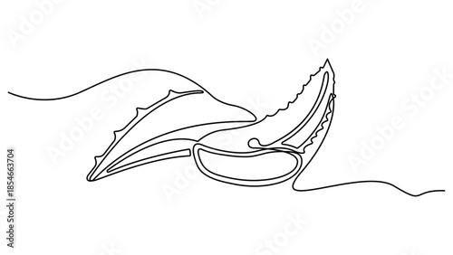 Aloe vera plant sketch, simple vector illustration, background, label design. One single line drawing of healthy organic, One continuous line drawing art illustration with lettering organic aloe vera