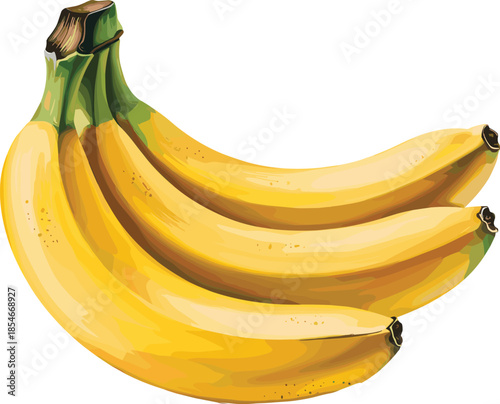 Bunch of Ripe Yellow Bananas on a White Background Keywords: banana, bananas, fruit, yellow, tropical, bunch, food, healthy