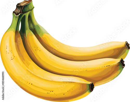 Bunch of Yellow Bananas with Green Stems on White Background Keywords: bananas, yellow bananas, bunch, fruit, green stems, tropical