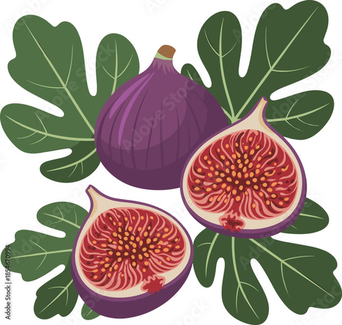 Ripe Purple Figs with Green Leaves on White Background Keywords: fig, figs, fruit, purple, green, leaves, whole, halved, cut, seeds