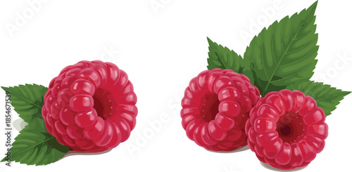 Two Ripe Red Raspberries with Green Leaves on White Background Keywords: raspberry, raspberries, fruit, red, berry, fresh, sweet