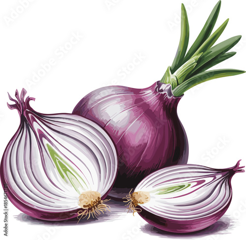 Whole and Halved Red Onions with Green Sprouts on White Background Keywords: red onion, halved onion, sliced onion, vegetable, food