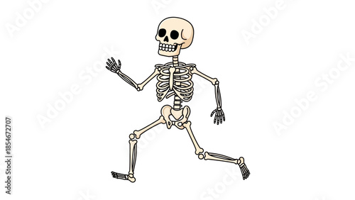 Energetic Cartoon Skeleton Running with Lively Motion, a Humorous Illustration Depicting Human Anatomy in Action, Ideal for Educational Science or Festive Halloween Concepts