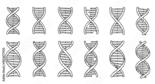 Collection of dna double helix illustrations