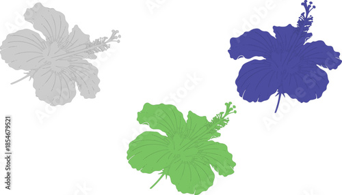 Green grape vine leaves flower and branch isolated 