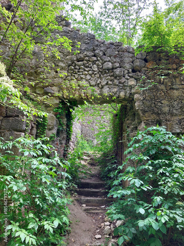 doorhole in stone wall and green plants. Old ruins of medieval castle Samobor. Croatia. Europe.