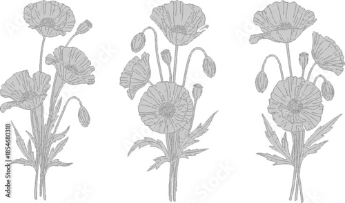 Seamless vintage floral vector illustration featuring a pattern with poppy flowers and rose blossoms in a black art sketch design for nature wallpaper