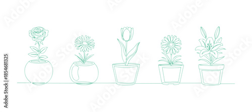 An assortment of continuous line sketches of flowers in pots. Lovely flowers on a white background. Vector illustration
