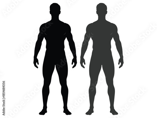 Two male silhouettes demonstrating varying degrees of body definition