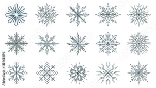 Collection of intricate snowflakes with detailed patterns and symmetrical designs on white background for winter graphics