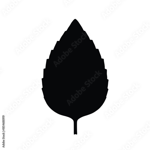 Single black leaf silhouette isolated on white background