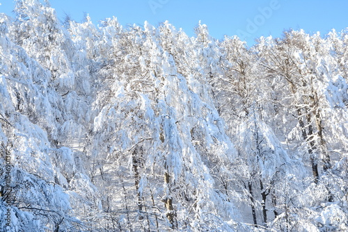 Cold Winter Mountain. Winter landscape. Snowy forest and blue sky.