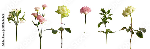 Canvas Print Floral and greenery elements isolated on white background arranged as individual