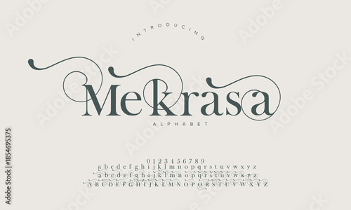 Mekrasa typography beauty fashion elegant minimalist serif italic fonts decorative wedding vintage retro logos. Minimal luxury font alphabet logo. Vector illustration