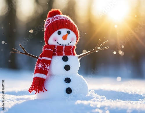 snowman standing on a sunny winter day. Winter Christmas New Year card