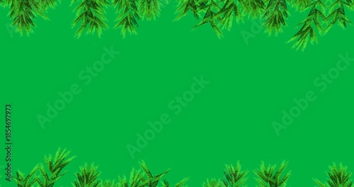 Animation of decoration with green fir tree branch on black background