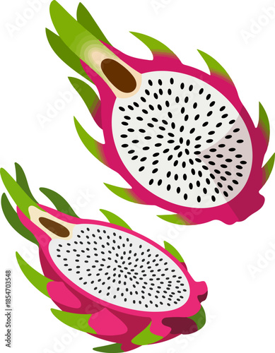 Dragon fruit half cut vector illustration with white flesh and black seeds tropical fruit isolated
