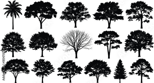 Collection of tree silhouettes isolated on white background, different forest tree shapes, botanical nature design elements for landscape illustration and environmental concepts stock vector