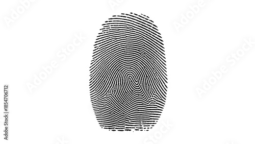 fingerprint on white background, Realistic human fingerprint