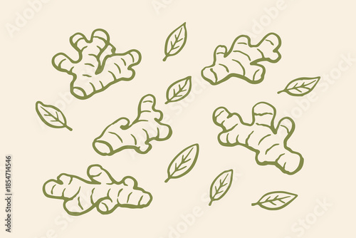 Ginger roots doodle hand drawn sketch vector illustration