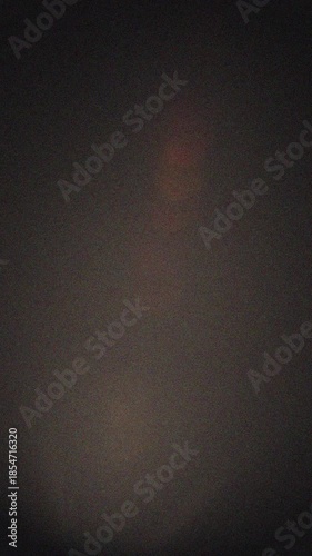 Quick White Light Transition Flash Effect Vertical Video Overlay - Fast Bright Background Motion Graphic 4k video animation seamless loop