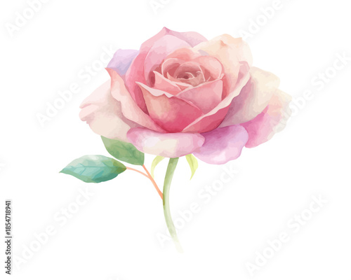 Pink Rose Bouquet Watercolor Floral Element Valentine’s Decor vector illustration 