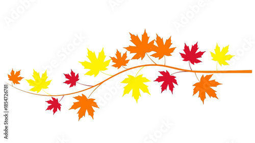 Autumnal maple leaves in vibrant red, orange, and yellow hues on a curving branch