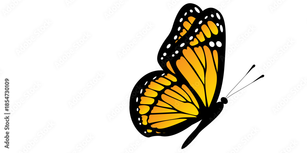 Fototapeta premium Vibrant monarch butterfly in flight on white background
