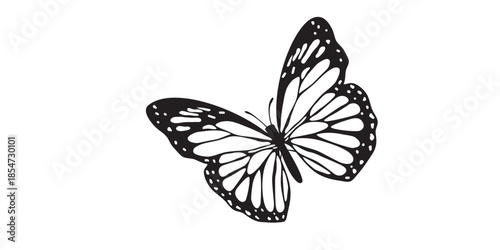 Elegant butterfly silhouette with intricate wing details