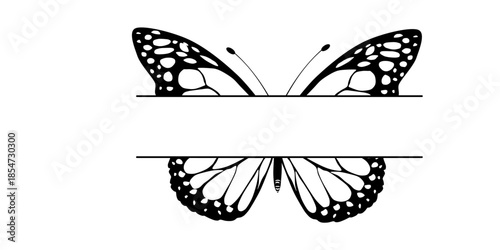 Elegant butterfly wings with intricate patterns on white