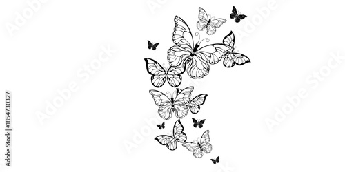 Beautiful butterflies flying in air with elegant wings