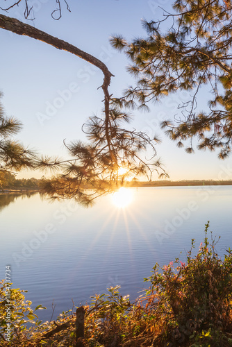 Scenery of a lake surrounded by pine forest during sunrise.
