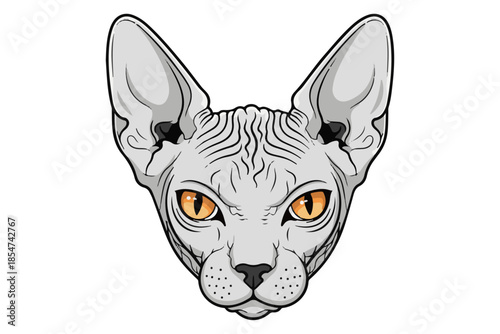 Close-up illustration of a Sphinx cat's face with striking orange eyes and distinctive wrinkled skin