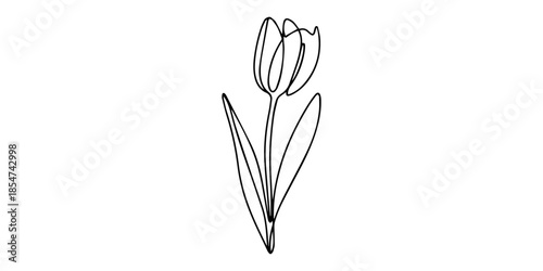 Tulip one line drawing.Abstract flower continuous line. Minimalist contour drawing of tulip, isolated on a clean background, symbolizing natural beauty, new growth, and simplicity. vector. blooming.