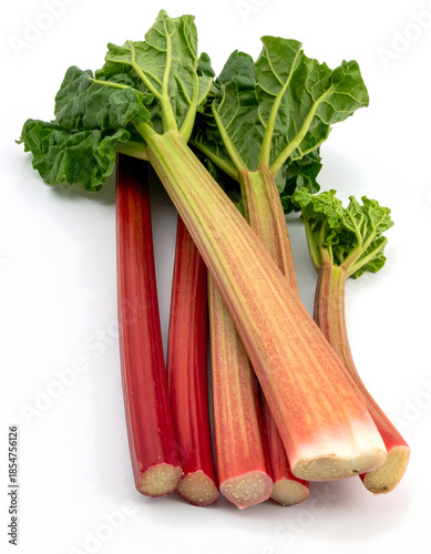 Pink and Red Rhubarb Stalks with Large Green Leaves Close-up
