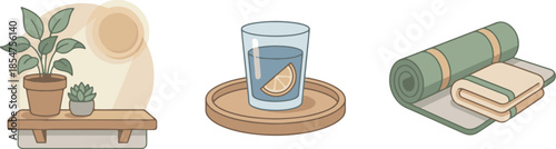 Healthy Lifestyle and Wellness Vector Set. Yoga Mat, Lemon Water, and Potted Plants.