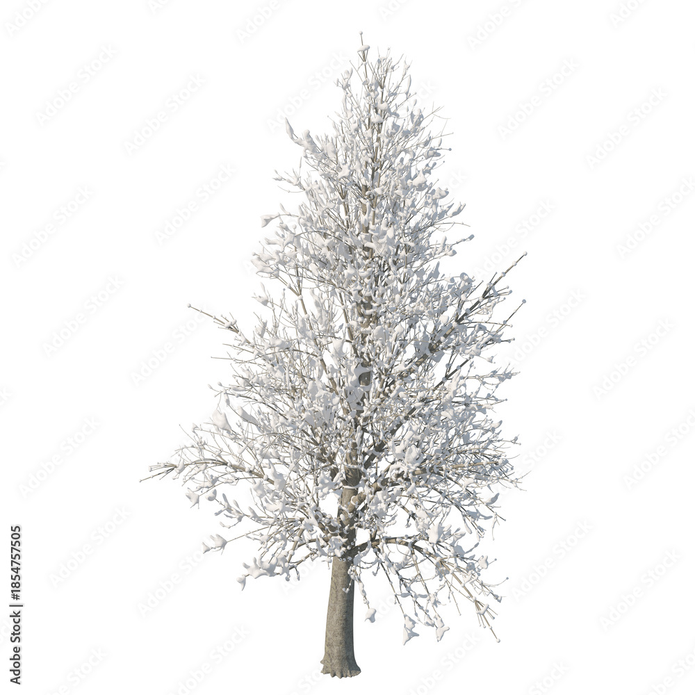 Obraz premium Tree snow covered isolated transparent background photo realistic 3d rendering PNG 16 bit with alpha channel 