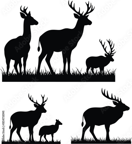 Deer silhouettes in grassy landscape with various antler styles