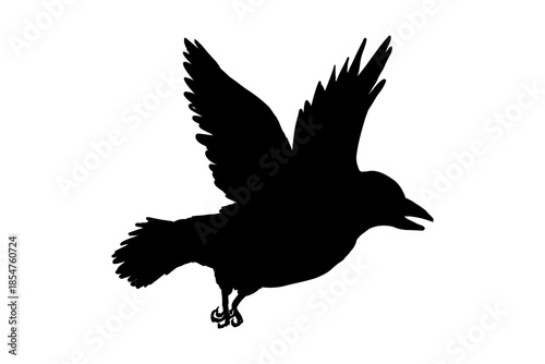 Flying crow bird silhouette, Simple swallows in flight, crows in the sky. Group of birds border.