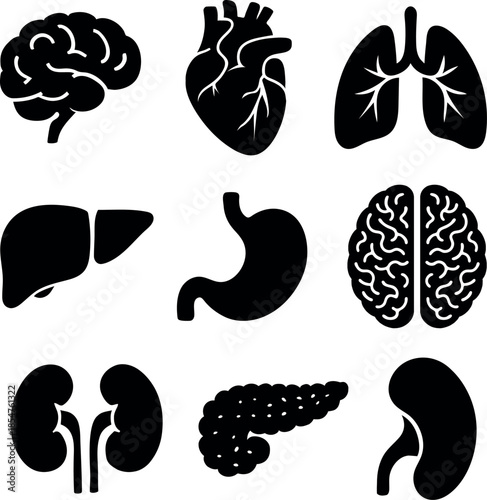 Set of human organs and brain icons featuring vector illustrations and black silhouette design elements for a seamless pattern or medical sign 