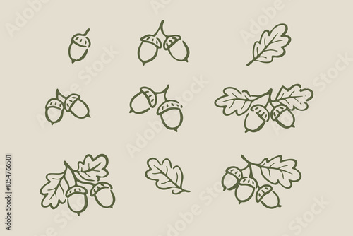 Acorns and oak leaves doodle set vector illustration