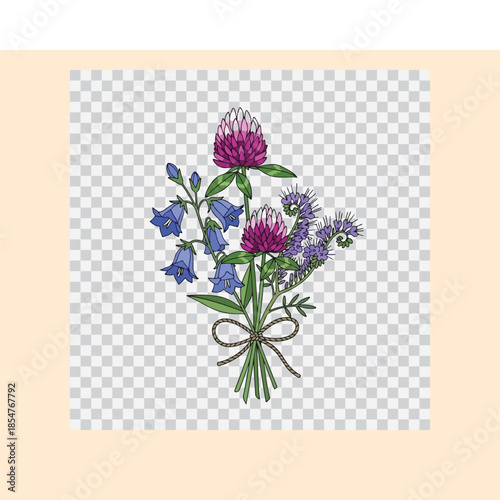 A bouquet of colorful flowers including purple thistle and bluebells on a transparent background with green leaves and stems tied with a ribbon
