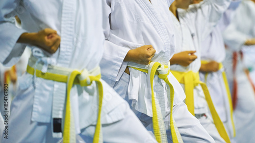 Canvas Print Group of children practicing martial arts with yellow belts indoors