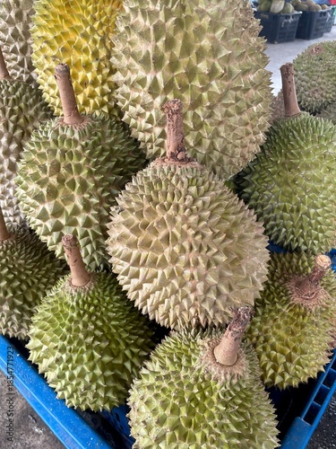 durian, King of fruit in Malaysia