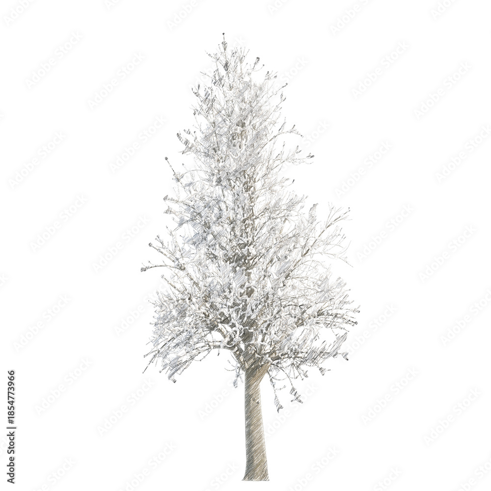 Obraz premium Tree snow transparent background realistic sketch PNG with alpha channel 