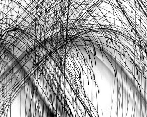 Abstract black and white curved lines pattern chaotic intricate network dark backdrop artistic light trails random strokes modern graphic design element