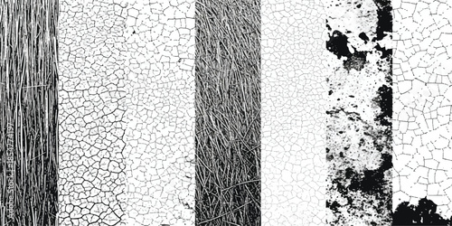 Diverse set of black and white textures showcasing cracked surfaces and natural elements