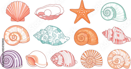 Detailed vector collection of various sea shells featuring a pearl oyster starfish conch snail shells and scallops isolated on a white background.